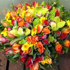 Spring has Sprung