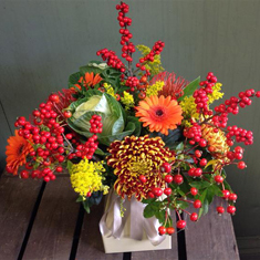 Cornucopia