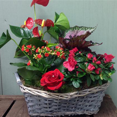 Valentine Planter