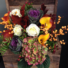All for Autumn