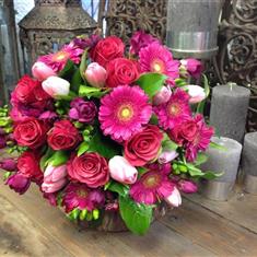 Spring into Pink